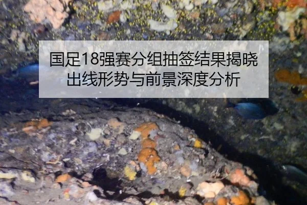 国足18强赛分组抽签结果揭晓 出线形势与前景深度分析