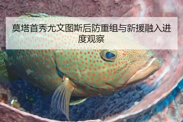 莫塔首秀尤文图斯后防重组与新援融入进度观察